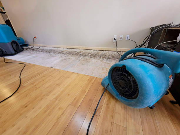 Professional Structural Drying technician working in Boron, CA